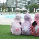 쁘띠모아 이미지