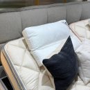 퀸즈동물병원 | 모션베드, 트윈침대 마르피 신혼침대 너무 만족했던 N32 롯데백화점 강남점 방문 후기