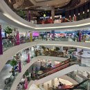 차오패밀리 이미지