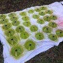 강빛약국 이미지