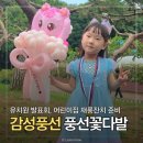 한아름어린이집 | 어린이집 유치원 발표회 재롱잔치 기념일 풍선 꽃다발은 감성풍선