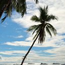 주식회사 유심 | 필리핀 세부여행 준비물 샤워기 필터 포함 이심 사용 후기