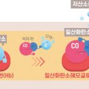라이프잡다