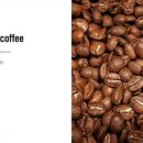 달콤피시 이미지