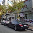 죽림2로가로수 티스토리