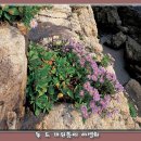 바람난공주 이미지