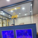 킨더킹 이미지