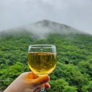부산근교 배내골 온수수영장펜션 창밖을보라