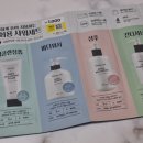샤워 필수템 4가지를 한방에, 향기는? 다이소 일회용 샤워세트 [다이소 리뷰왕]