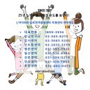 아이라라평촌심리언어상담센터 네이버블로그