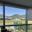 [창원] 보그헤어 롯데마트 맥스 솔직 후기, 창원 상남동 미용실 추천