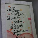 캘리그래피 독학해서 세달만에 자격증땄어요 이미지