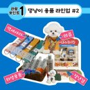 세이프애니펫 네이버블로그