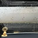 진위주유소 이미지