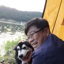 조산제 이미지