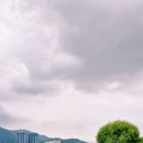 낙동강변1 이미지