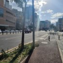 렌즈미&에비뉴 안경 | 제주안경 가심비 에비뉴안경전문점
