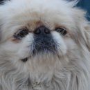 북인천중학교 이미지