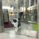 이솜동물병원 이미지