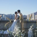 부산하우스 이미지