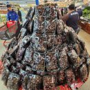 푸르네 과일