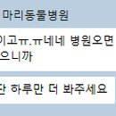 송파 마리동물병원 이미지