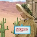 스테이 숲속의빈터 이미지