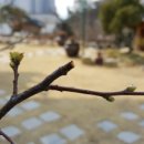 토함빌리지 이미지