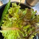 석쇠불고깃집 | 대전 오류동 맛집 까망연탄 양념 석쇠불고기 먹고 반한 후기 ⭐ 추천