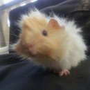 모월모일 이미지