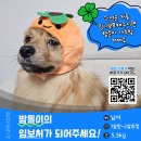 밤톨/남아/1.5살 이미지