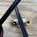 늘품로4 | 원주 반곡동 스시율 내돈내산 방문 후기 - 위치,영업시간,주차,가격 등