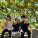 신미주2관어린이집 이미지