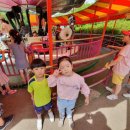 용인대 동성 태권도 이미지