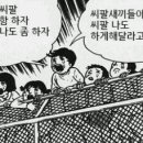 번역천사 이미지