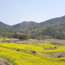 남해-186 이미지