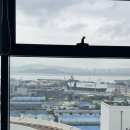 내리 39-1 소교량 | 쿠팡 단기 알바 / 인천39센터 오후조 입고 후기