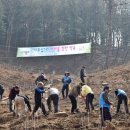 희망나무심기2 이미지