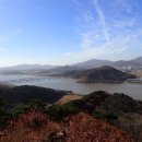 옹기촌건강원