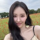 선미헤어 네이버블로그