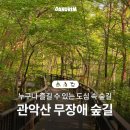 관악산 무장애숲길 | 누구나 즐길 수 있는 도심 속 숲길 관악산 무장애 숲길 (서울가볼만한곳, 관악산 무장애 숲길, 휠체어가능)