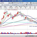 선우 소프트 이미지