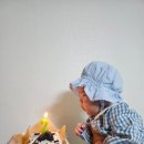 오트타임 | 2개월 아기와 신라호텔 더 파크뷰｜엄마 칠순파티 오트퀴진룸 후기