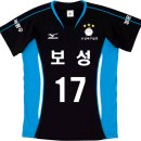 보성체육사