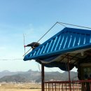 동진오토바이