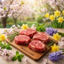 화로상회성남
