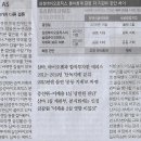 뉴스분식
