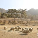 해도 목장 이미지