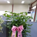 다원엔지니어링 이미지