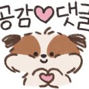 댕이맘마 이미지